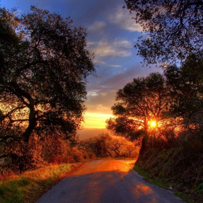 1920 x 1080 HD Wallpapers 2788